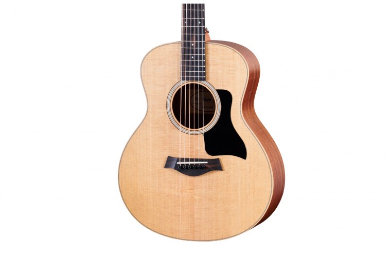 Taylor GS Mini