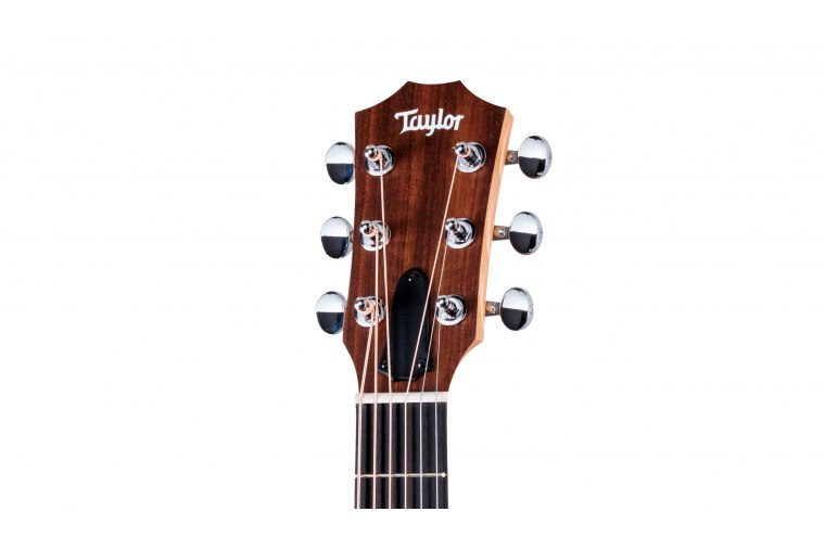 Taylor GS Mini