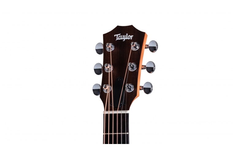 Taylor GS Mini-e Special Edition Paisley Burst