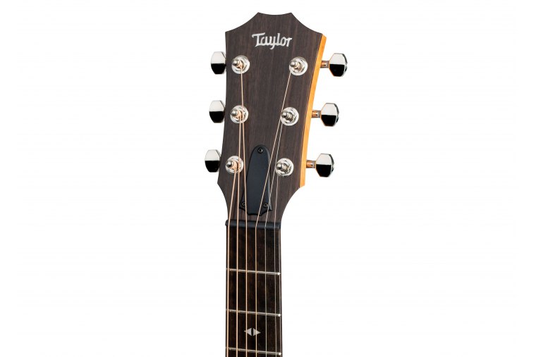 Taylor GT