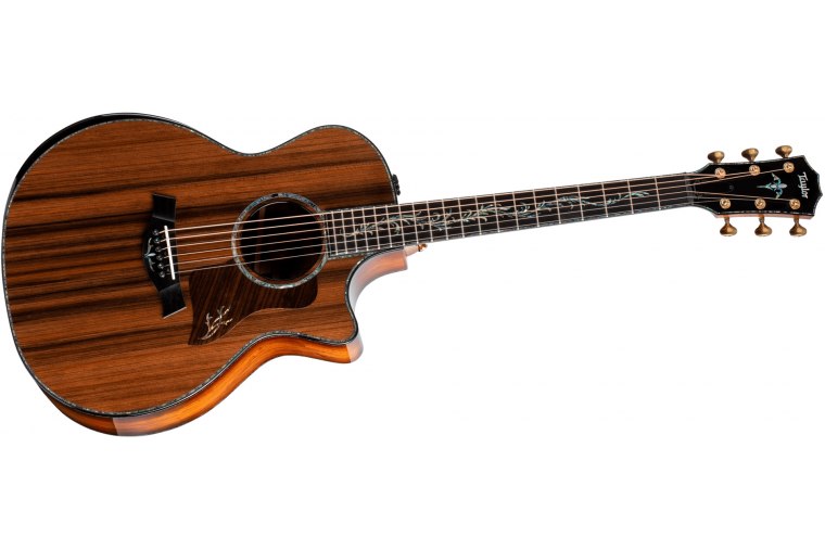 Taylor PS14ce Honduran Rosewood