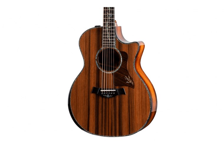 Taylor PS14ce Honduran Rosewood