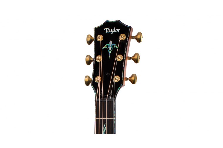 Taylor PS14ce Honduran Rosewood